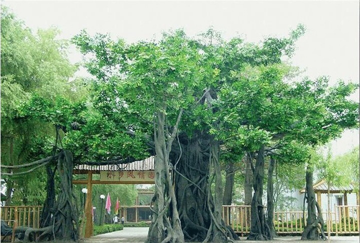 ٘(sh)TT^ɽT^Ř(sh)^(q)ʯɽTˮO(sh)Ӌ(j)ʩ